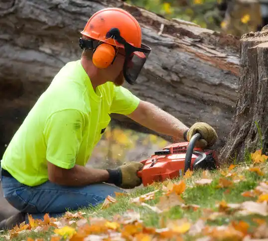 tree services West Buechel